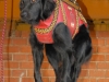 achita09